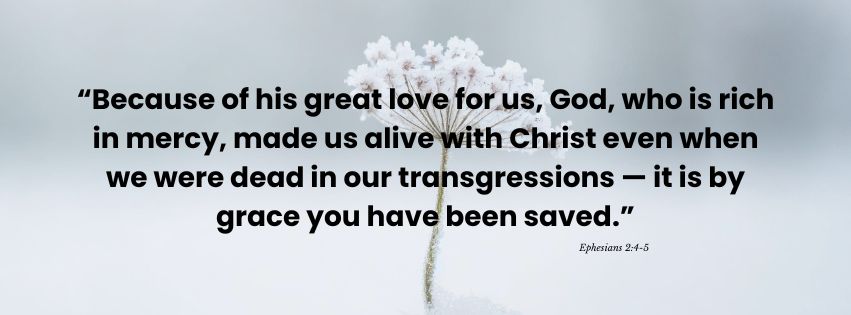 Weekly Market Insights | Supreme Court Rules Against White House Tariffs